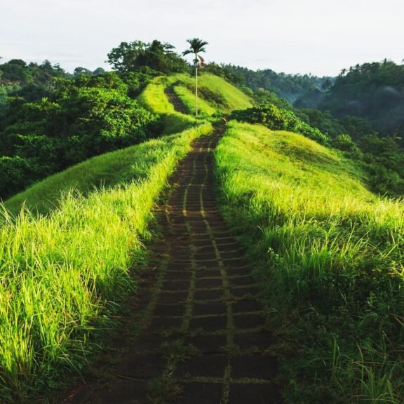 Top Tips for Visiting Bali